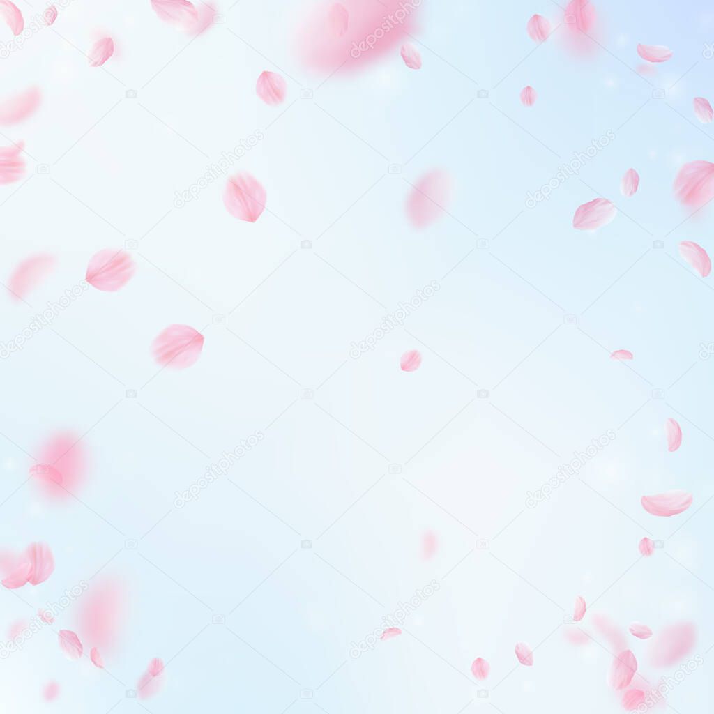Sakura petals falling down. Romantic pink flowers vignette. Flying petals on blue sky square background. Love, romance concept. Energetic wedding invitation.