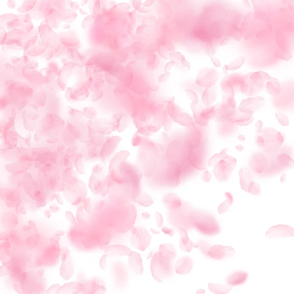 Sakura Bloemblaadjes Vallen Romantische Roze Bloemen Kleurovergang Vliegende Bloemblaadjes Witte — Stockfoto