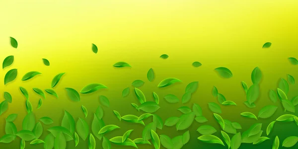 Fallende Grüne Blätter Frischer Tee Lässt Chaotische Blätter Fliegen Frühlingsblätter — Stockfoto