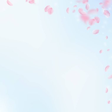Sakura yaprakları dökülüyor. Romantik pembe çiçek köşesi. Mavi gökyüzü kare arka planında uçan taç yaprakları. Aşk, romantizm kavramı. Tuhaf düğün davetiyesi.