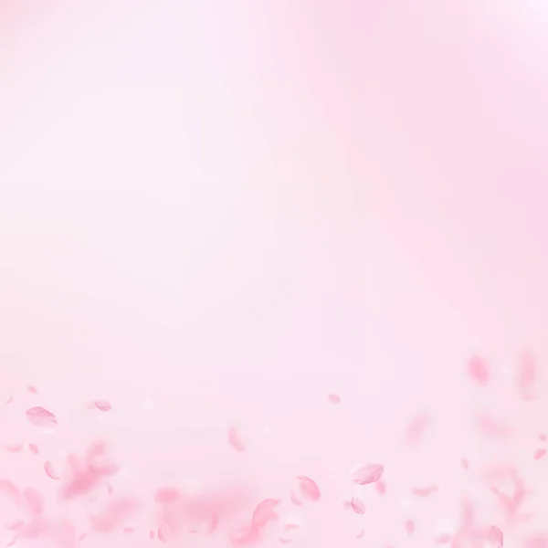 桜の花びらが落ちてきた ロマンチックなピンクの花のグラデーション ピンクの四角形の背景に花びらを飛んで 恋愛概念 結婚式の招待状の魅力 — ストック写真