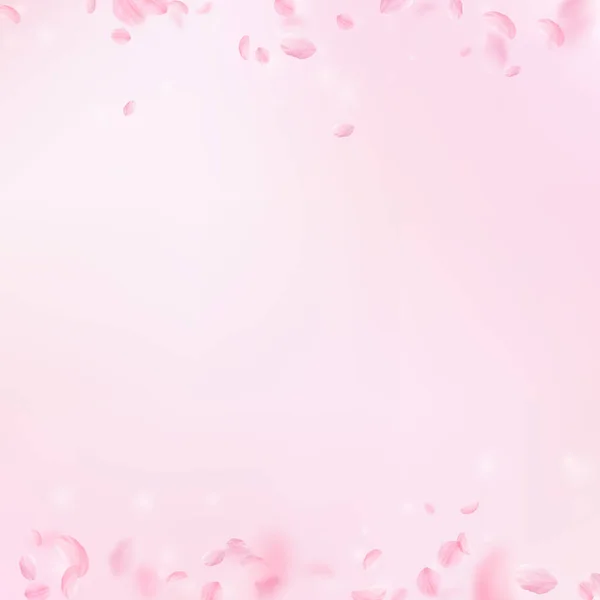 Sakura Bloemblaadjes Vallen Naar Beneden Romantische Roze Bloemen Grenzen Vliegende — Stockfoto