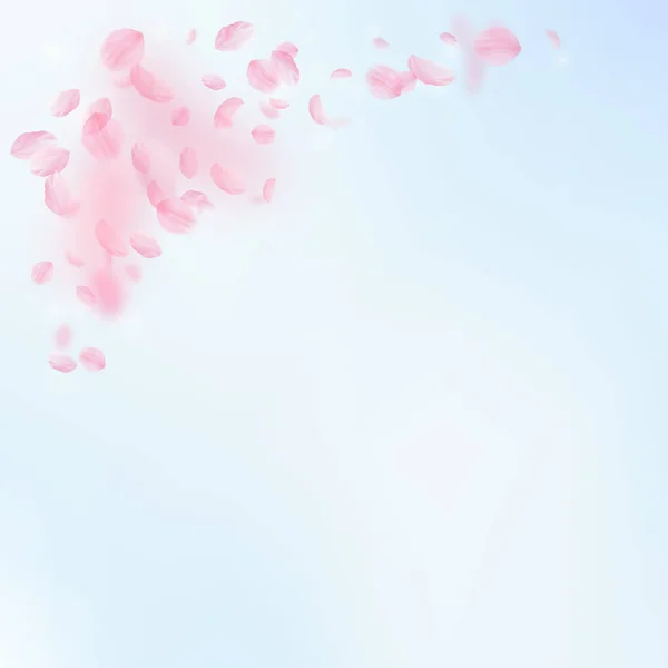 樱花花瓣飘落 浪漫的粉色花朵角落 蓝天正方形背景上飘扬的花瓣 浪漫的概念 迷人的婚宴请柬 — 图库照片