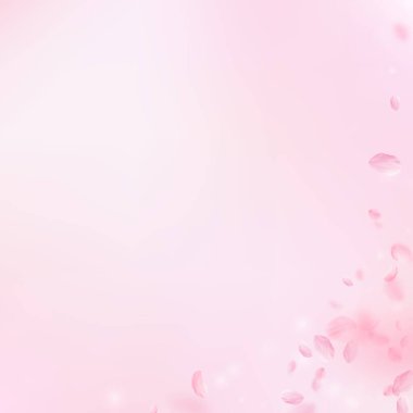 Sakura yaprakları dökülüyor. Romantik pembe çiçek köşesi. Pembe kare arka planda uçan taç yaprakları. Aşk, romantizm kavramı. Şık bir düğün davetiyesi.