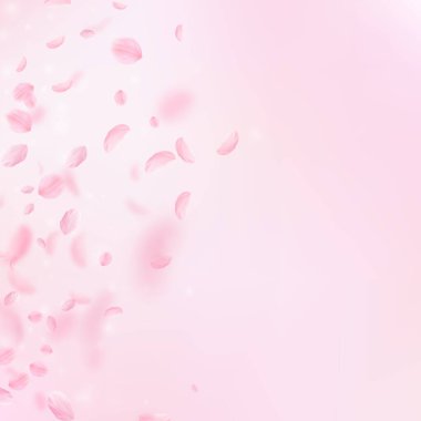 Sakura yaprakları aşağı düşen. Romantik pembe çiçekler degrade. Yaprakları pembe kare arka plan üzerinde uçan. Aşk, romantizm kavramı. Düğün davetiyesi layık.