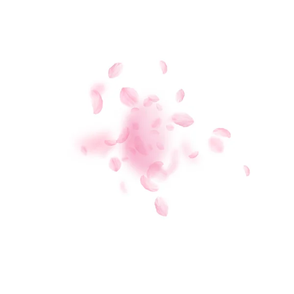 Лепестки Сакуры Падают Романтический Взрыв Розовых Цветов Летающие Лепестки Белом — стоковое фото