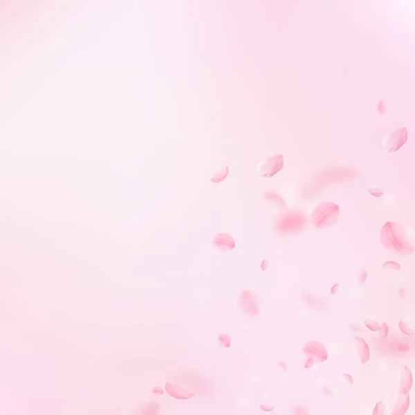 桜の花びらが落ちてきた ロマンチックなピンクの花のコーナー ピンクの四角形の背景に花びらを飛んで 恋愛概念 奇妙な結婚式の招待状 — ストック写真