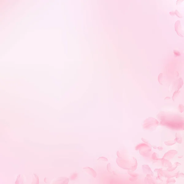 樱花花瓣飘落 浪漫的粉色花朵角落 粉红正方形背景上飘扬的花瓣 浪漫的概念 取消婚宴邀请 — 图库照片
