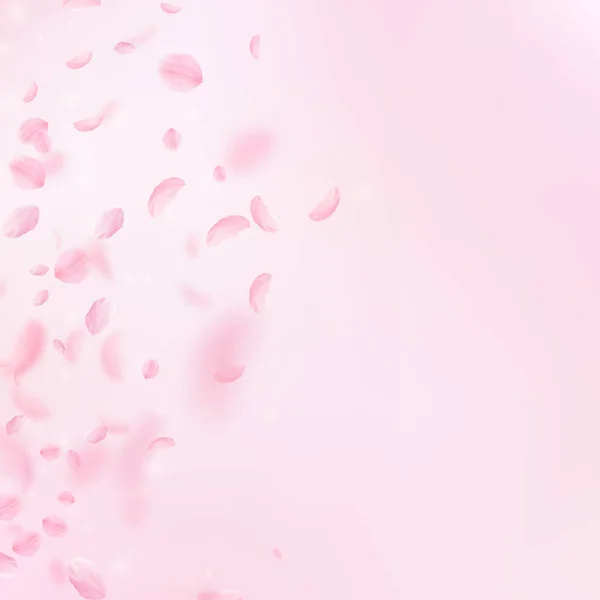 아래로 떨어지는 사쿠라 로맨틱 그라데이션입니다 꽃잎에 분홍색 사각형 배경입니다 로맨스 — 스톡 사진