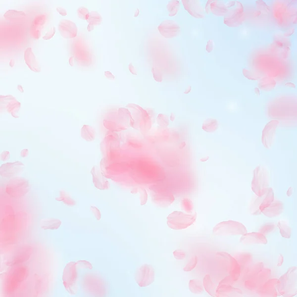 Sakura Petals Falling Romantic Pink Flowers Explosion Flying Petals Blue — Stock Photo, Image