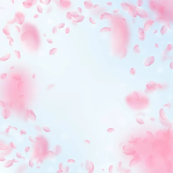 Sakura Bloemblaadjes Vallen Romantische Roze Bloemen Vignet Vliegende Bloemblaadjes Vierkante — Stockfoto