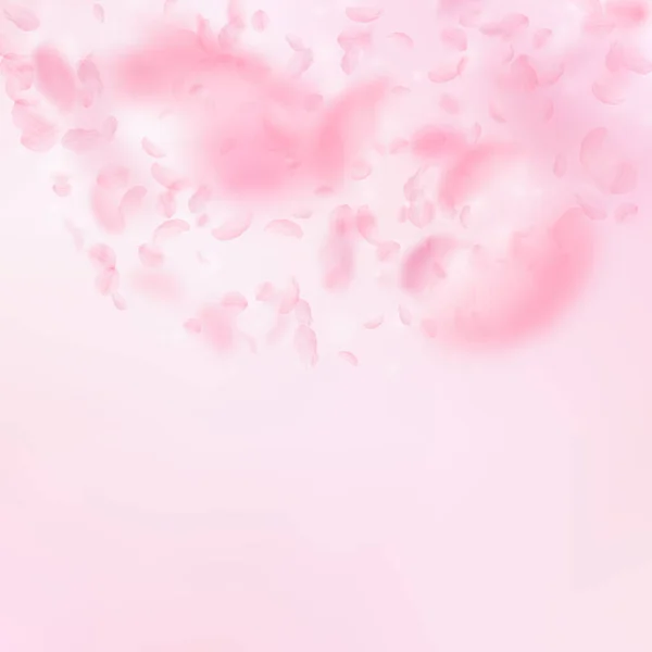 Sakura Kronblad Faller Ner Romantisk Rosa Blommor Halvcirkel Flygande Blomblad — Stockfoto