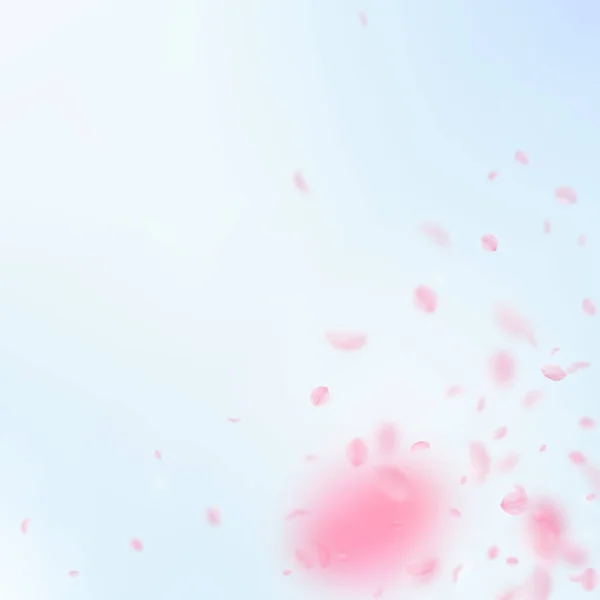 桜の花びらが落ちています ロマンチックなピンクの花のコーナー 青い空の正方形の背景に花びらを飛んでいます ロマンス概念 魅力的な結婚式の招待状 — ストック写真