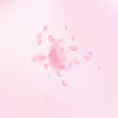 Sakura yaprakları aşağı düşen. Romantik pembe çiçekler patlama. Yaprakları pembe kare arka plan üzerinde uçan. Aşk, romantizm kavramı. Mükemmel düğün davetiyesi.