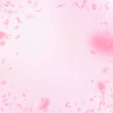Sakura yaprakları dökülüyor. Romantik pembe çiçekler gibi. Pembe kare arka planda uçan taç yaprakları. Aşk, romantizm kavramı. Delilsiz düğün davetiyesi.
