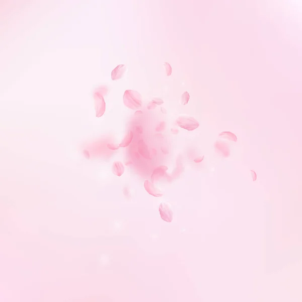 桜の花びらが落ちています ロマンチックなピンクの花の爆発 ピンクの正方形の背景に花びらを飛んでいます ロマンス概念 絶妙な結婚式招待状 — ストック写真