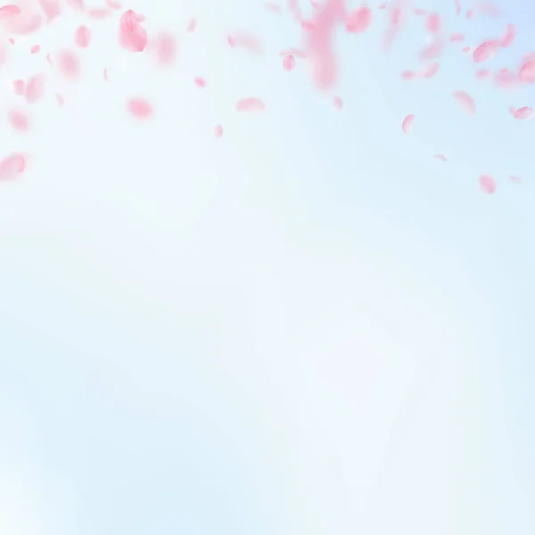 Sakura Szirmok Zuhan Romantikus Rózsaszín Virágok Színátmenet Kék Tér Háttérben — Stock Fotó
