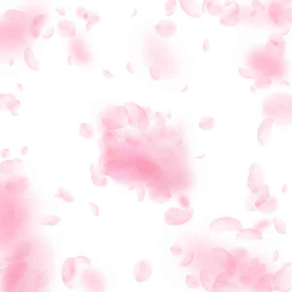 Pétalas Sakura Cair Explosão Romântica Flores Rosa Pétalas Voadoras Sobre — Fotografia de Stock