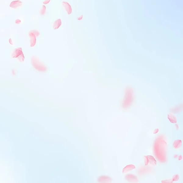 樱花花瓣飘落 浪漫的粉色花朵角落 蓝天正方形背景上飘扬的花瓣 浪漫的概念 热烈的婚宴请柬 — 图库照片