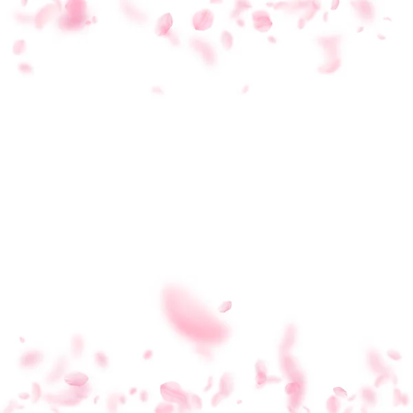樱花花瓣飘落 浪漫的粉色花朵的边缘 白色正方形背景上飘扬的花瓣 浪漫的概念 未收到的婚宴邀请函 — 图库照片