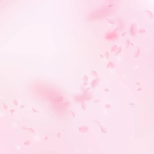 桜の花びらが落ちてきた ロマンチックなピンクの花のコーナー ピンクの四角形の背景に花びらを飛んで 恋愛概念 対称結婚式の招待状 — ストック写真
