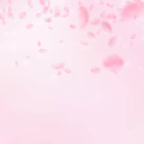 Sakura Petals Falling Romantic Pink Flowers Gradient Flying Petals Pink — Stock Photo, Image