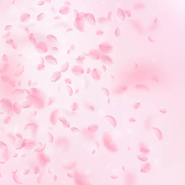 樱花花瓣掉落 浪漫的粉红色花朵渐变 在粉红色的方形背景飞行花瓣 浪漫的概念 优雅的婚礼邀请函 — 图库照片