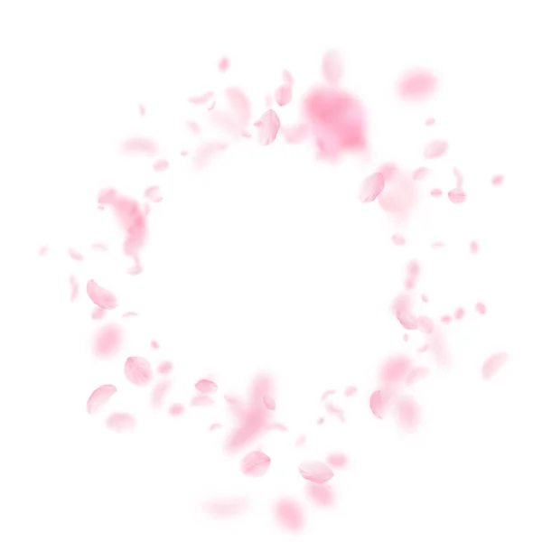 Sakura Lístky Padající Romantické Růžové Květy Viněty Letící Květy Bílém — Stock fotografie