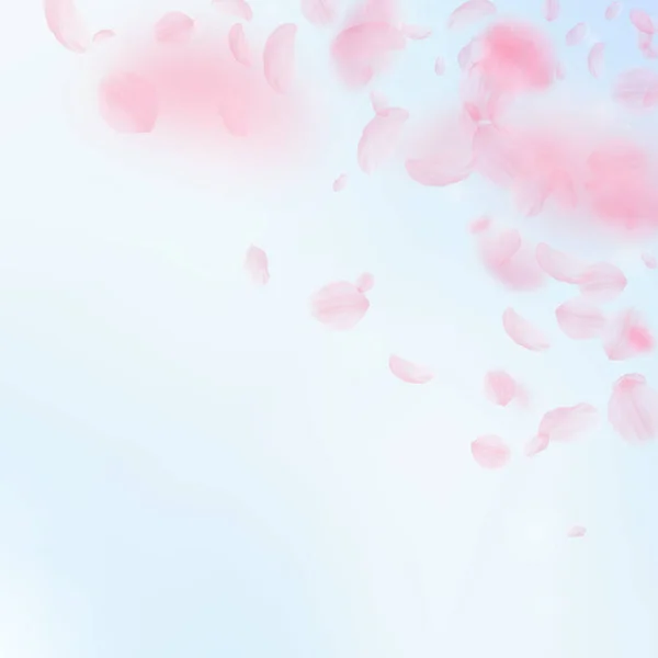 桜の花びらが落ちています ロマンチックなピンクの花のコーナー 青い空の正方形の背景に花びらを飛んでいます ロマンス概念 魅力的な結婚式招待状 — ストック写真