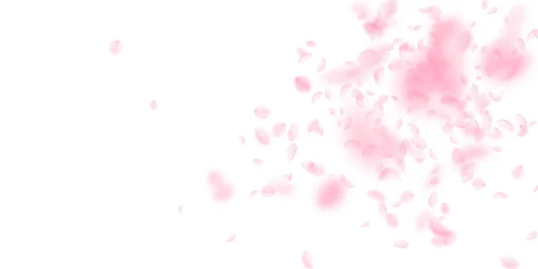 桜の花びらが落ちてきた ロマンチックなピンクの花の爆発 白地に花弁が飛び交う 恋愛概念 結婚式の招待状 — ストック写真