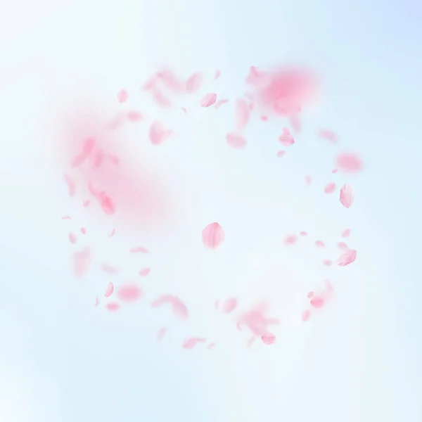 樱花花瓣落下 浪漫的粉红色花框 在蓝天广场的背景下飞翔的花瓣 浪漫的概念 令人兴奋的婚礼请柬 — 图库照片