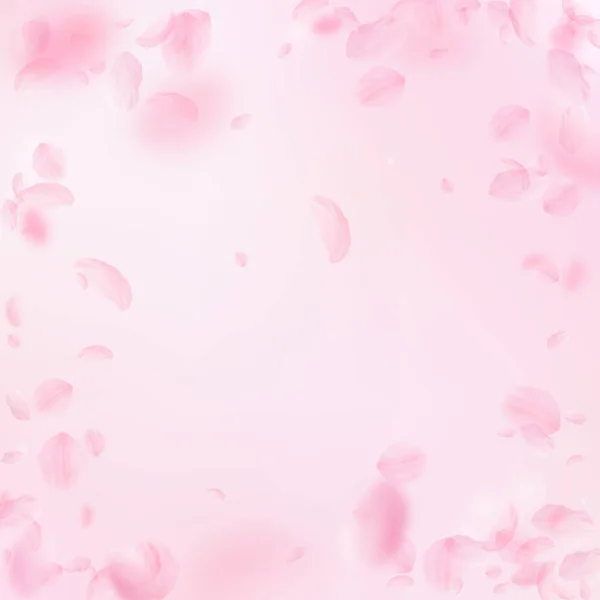 Sakura Petals Falling Romantic Pink Flowers Vignette Flying Petals Pink — Stock Photo, Image