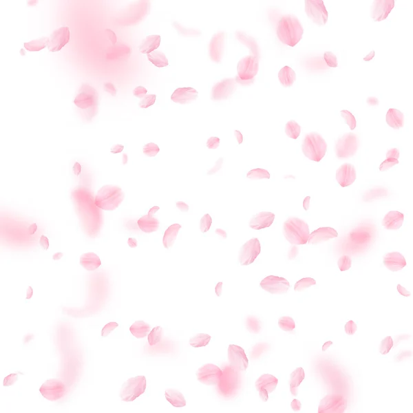Лепестки Сакуры Падают Романтические Розовые Цветы Падают Дождь Летающие Лепестки — стоковое фото