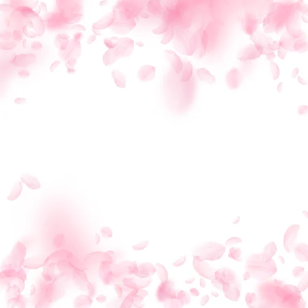 桜の花びらが落ちています ロマンチックなピンクの花は 雨が降っています 白い正方形の背景に花びらを飛んでいます ロマンス概念 賑やかな結婚式招待状 — ストック写真