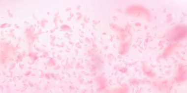 Sakura yaprakları dökülüyor. Romantik pembe çiçek gradyanı. Pembe arka planda uçan taç yaprakları. Aşk, romantizm kavramı. Olumlu düğün davetiyesi.