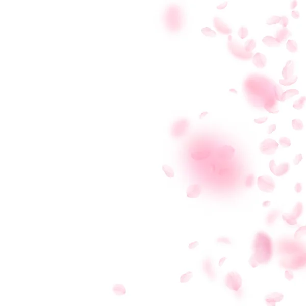 桜の花びらが落ちています ロマンチックなピンクの花のグラデーション 白い正方形の背景に花びらを飛んでいます ロマンス概念 不思議な結婚式招待状 — ストック写真