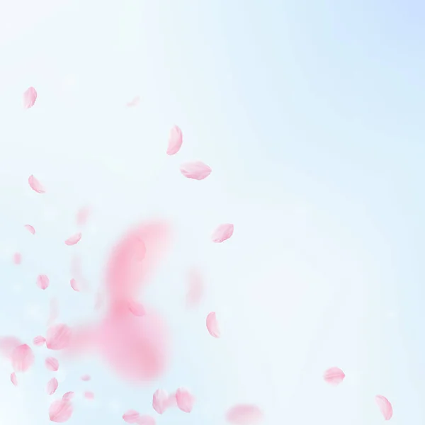 樱花花瓣落下 浪漫的粉红色花角 在蓝天广场的背景下飞翔的花瓣 浪漫的概念 值得的婚礼请柬 — 图库照片