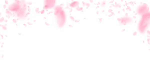 Padají Okvětní Lístky Sakury Romantické Růžové Květy Padající Déšť Létající — Stock fotografie