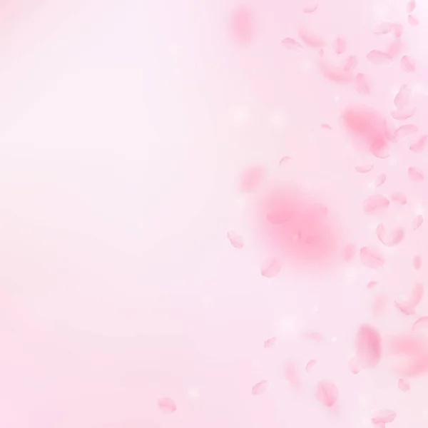 Sakura Petals Falling Romantic Pink Flowers Gradient Flying Petals Pink — Stock Photo, Image