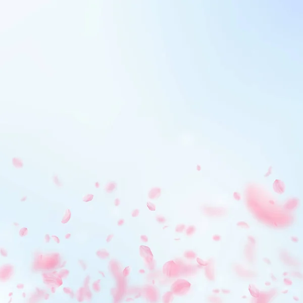 Sakura Yaprakları Dökülüyor Romantik Pembe Çiçek Gradyanı Mavi Gökyüzü Kare — Stok fotoğraf