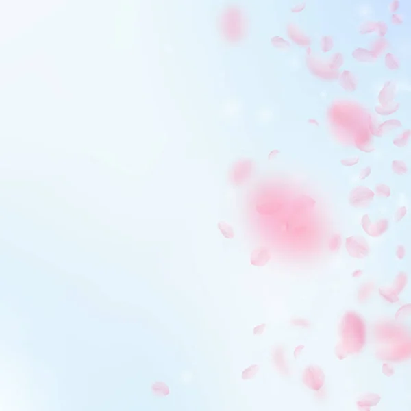桜の花びらが落ちています ロマンチックなピンクの花のグラデーション 青い空の正方形の背景に花びらを飛んでいます ロマンス概念 魅力的な結婚式の招待状 — ストック写真