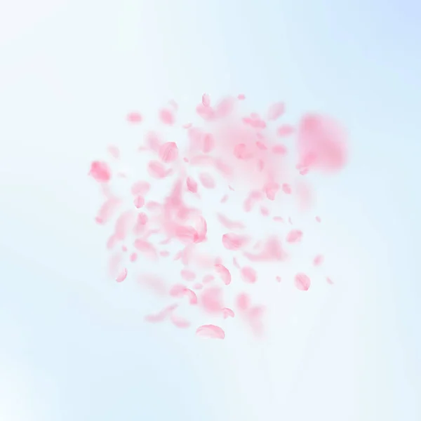 桜の花びらが落ちています ロマンチックなピンクの花の爆発 青い空の正方形の背景に花びらを飛んでいます ロマンス概念 エネルギッシュな結婚式招待状 — ストック写真