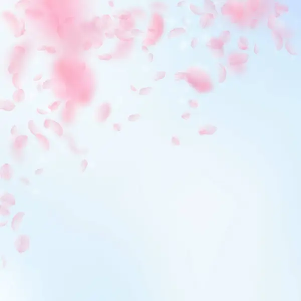 樱花花瓣落下 浪漫的粉红色花朵落下雨 在蓝天广场的背景下飞翔的花瓣 浪漫的概念 完美婚礼请柬 — 图库照片