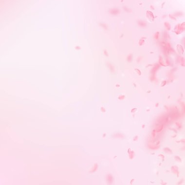Sakura yaprakları dökülüyor. Romantik pembe çiçek gradyanı. Pembe kare arka planda uçan taç yaprakları. Aşk, romantizm kavramı. Büyüleyici düğün davetiyesi..