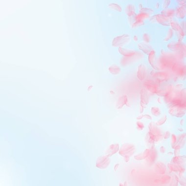 Sakura yaprakları dökülüyor. Romantik pembe çiçek gradyanı. Mavi gökyüzü kare arka planında uçan taç yaprakları. Aşk, romantizm kavramı. Müthiş düğün davetiyesi..