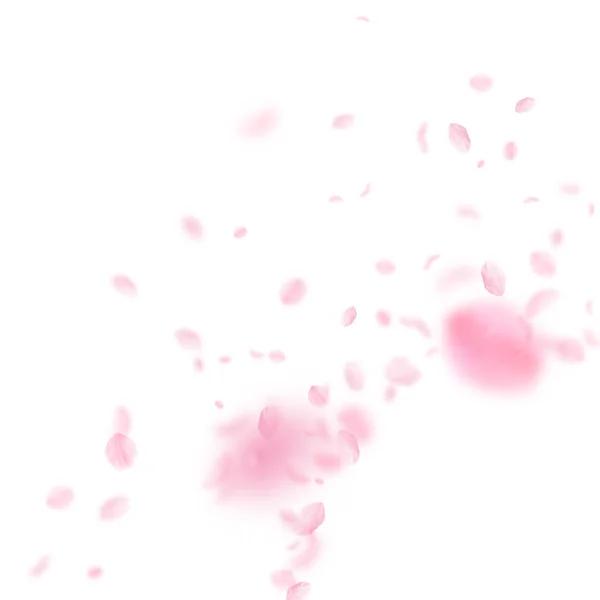 Sakura Szirmok Zuhan Romantikus Rózsaszín Virágok Sarokban Repülő Szirmok Fehér — Stock Fotó