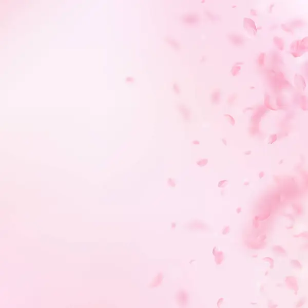 樱花花瓣飘落 浪漫的粉色花朵渐变 粉红正方形背景上飘扬的花瓣 浪漫的概念 吸引婚宴邀请 — 图库照片