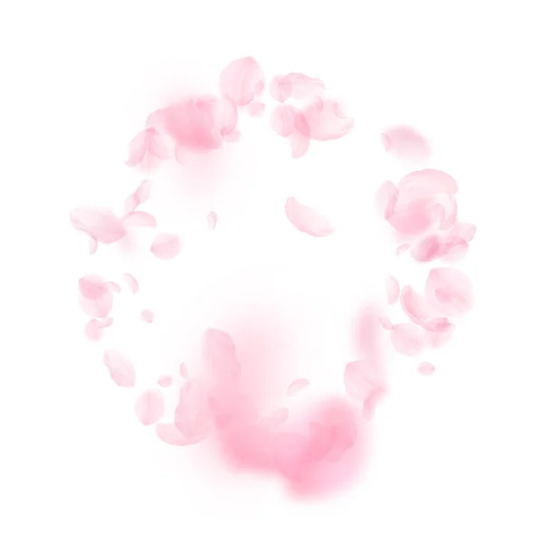 桜の花びらが落ちています ロマンチックなピンクの花のフレーム 白い正方形の背景に花びらを飛んでいます ロマンス概念 圧倒的な結婚式招待状 — ストック写真