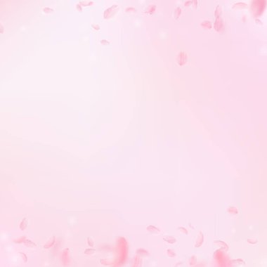 Sakura yaprakları dökülüyor. Romantik pembe çiçek sınırları. Pembe kare arka planda uçan taç yaprakları. Aşk, romantizm kavramı. Bunaltıcı düğün davetiyesi.