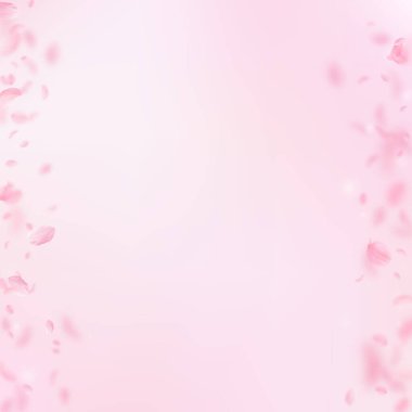 Sakura yaprakları dökülüyor. Romantik pembe çiçek sınırları. Pembe kare arka planda uçan taç yaprakları. Aşk, romantizm kavramı. Güçlü düğün davetiyesi.